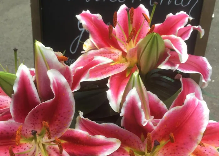 Landgasthof & Waldeck Hotel